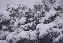 ΕΜΥ: η χιονόπτωση ήταν η εντονότερη των τελευταίων 40 ετών