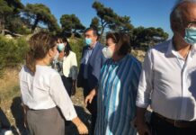 Αυτοψία στο Πεντελικό Όρος